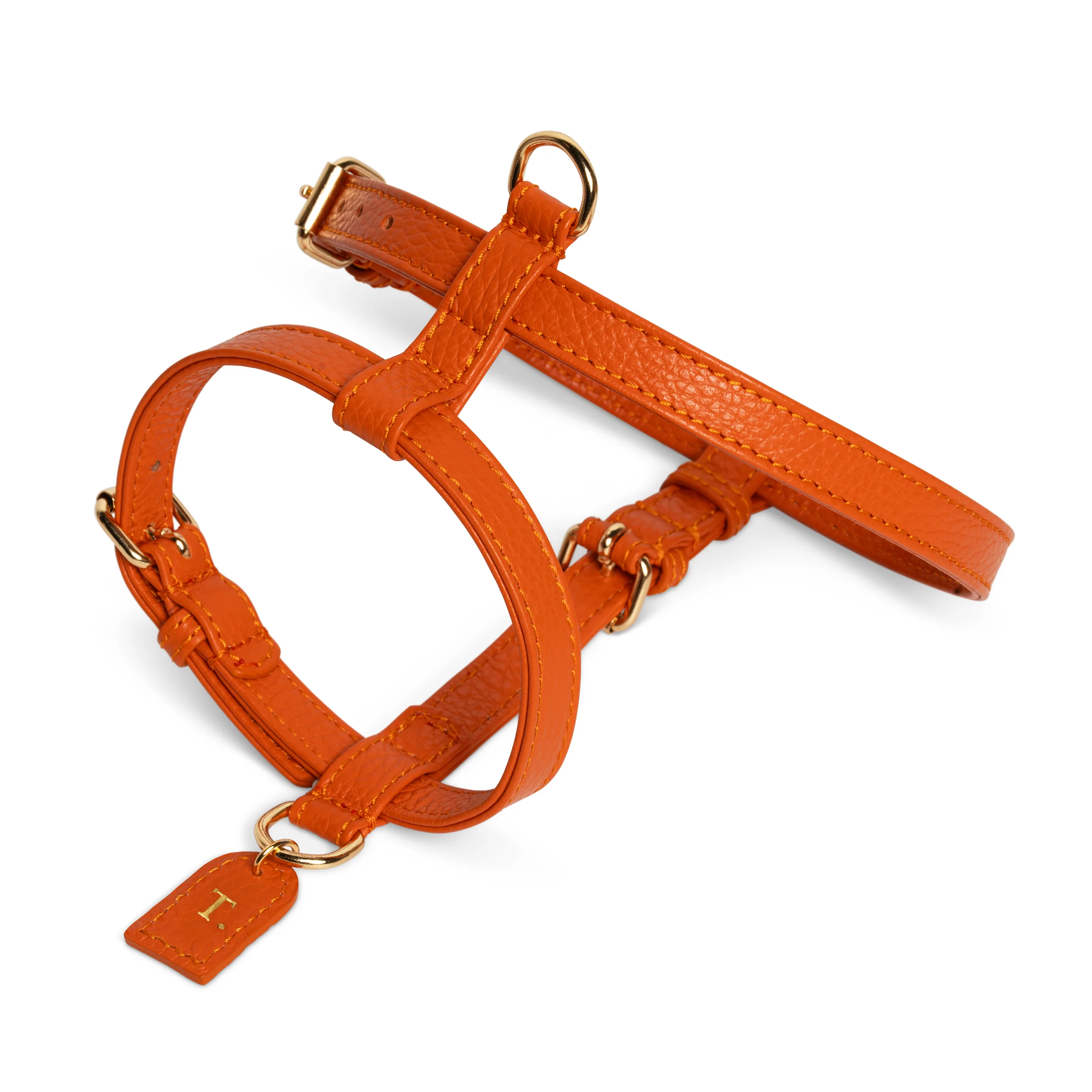 Orange H-harness - Image 4
