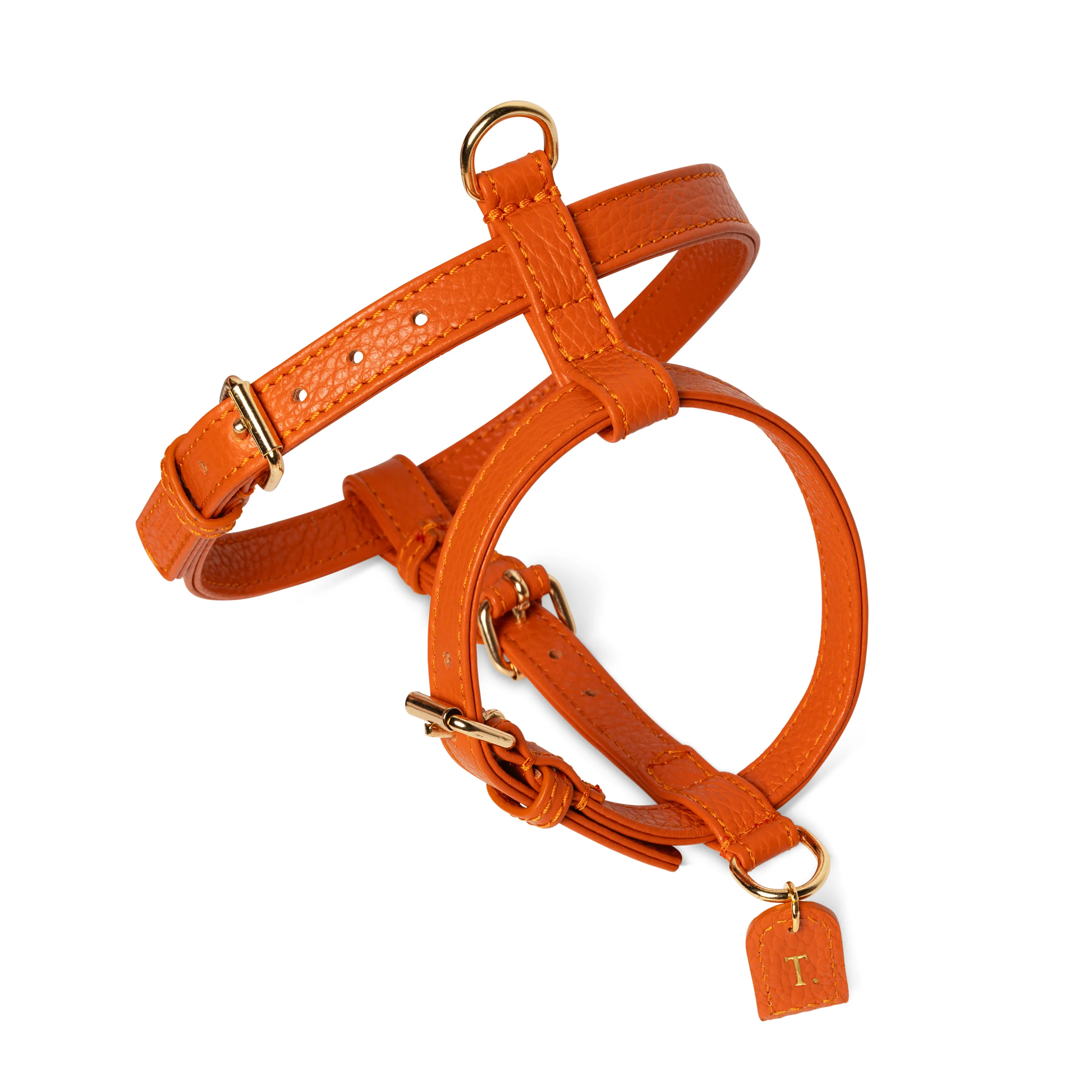 Orange H-harness - Image 6