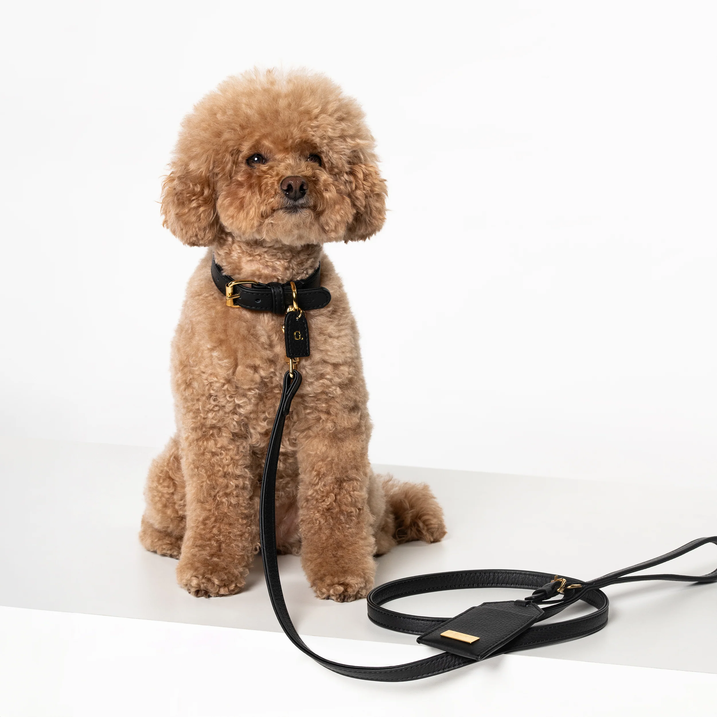 Poopbag holder Nero - Image 3