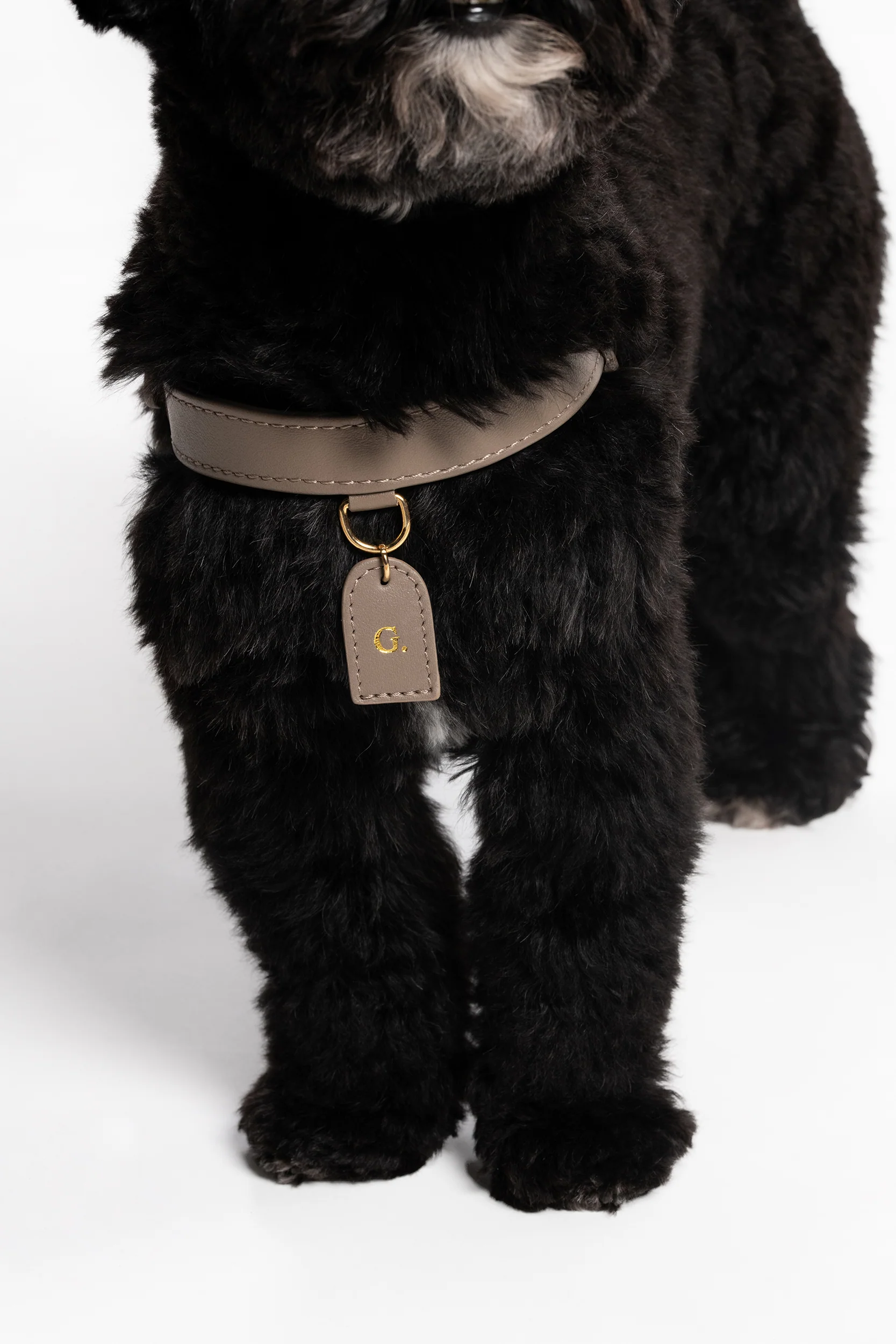 Taupe Harness - Image 6